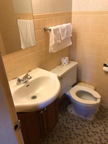 芝加哥EDGEBROOK MOTEL的浴室配有白色水槽和卫生间。