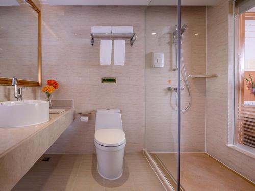 Fenghuangwei维也纳国际酒店 (深圳福永会展中心店)的浴室配有卫生间、盥洗盆和淋浴。
