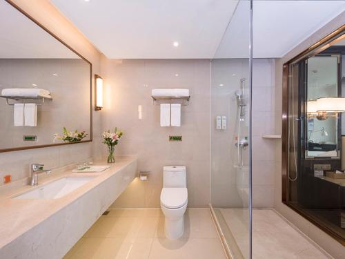 茶陵湖南株洲茶陵店的浴室配有卫生间、盥洗盆和淋浴。