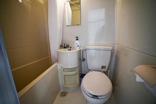 白马村Hakuba Matata Lodge的一间带卫生间和水槽的小浴室
