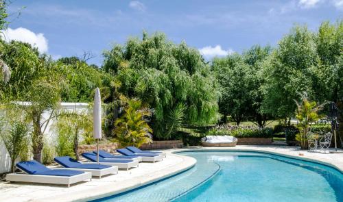 贝尔维尔家园度假酒店的一个带蓝色躺椅的游泳池和一个泳池景泳池