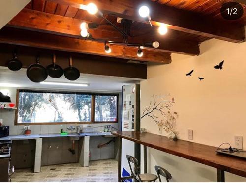 圣卡洛斯-德巴里洛切Ciao Bariloche - habitaciones privadas en hostel的厨房设有墙上的鸟儿柜台