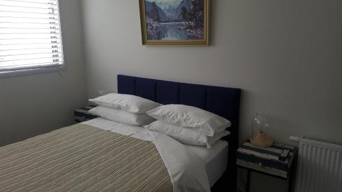 新普利茅斯Purakau Bed & Breakfast的一张带蓝色床头板和白色枕头的床