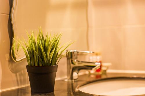 卡伦海滩普若安达曼广场酒店的水槽旁的浴室台上的一个植物