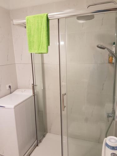 阿德耶Ocean View的带淋浴和绿毛巾的浴室