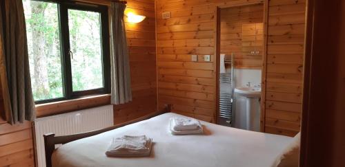 卢斯因福尔贝格假日公园酒店的小木屋内一间卧室配有床和水槽