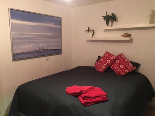 马尔默Beautiful location Copenhagen/Malmö的一间卧室配有一张带红色枕头的床和一幅画