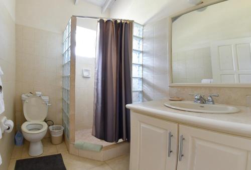 基督教堂市Best E Villas Providence的浴室配有卫生间、盥洗盆和淋浴。