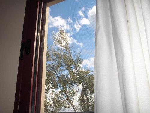 米克罗斯雅洛斯Mikros Gialos Apartments的享有树景的窗户