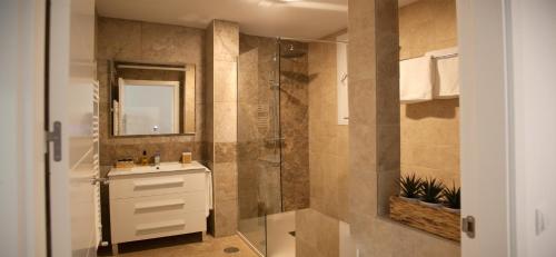 托莱多Apartamento 4Bedrooms的带淋浴、盥洗盆和镜子的浴室