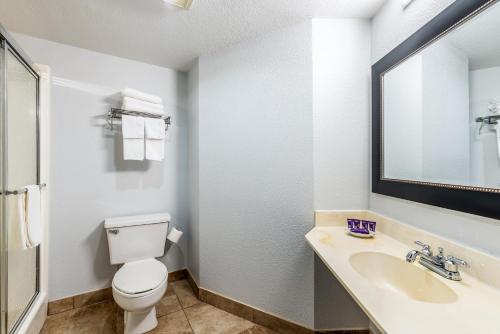 瑟西Knights Inn Searcy的一间带卫生间、水槽和镜子的浴室