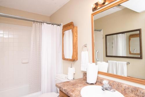 奥格登Charming Ogden Town home, 25 min to Snowbasin Ski Resort Duplex的一间带水槽、卫生间和镜子的浴室