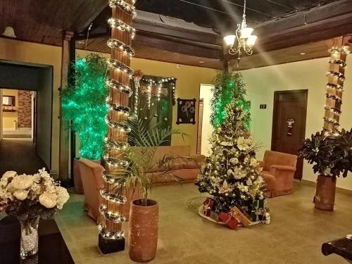 杜伊塔马Hotel Plaza Mayor的客厅拥有圣诞树和圣诞装饰