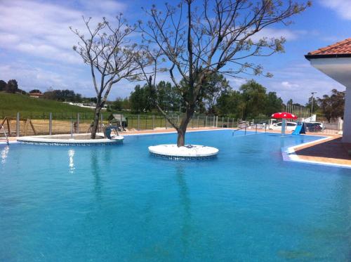 阿霍阿里纳斯假日公园的一座大型游泳池,里面有两个树