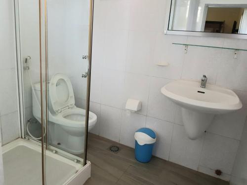 科纳克里Hotel du Golfe de Guinee的浴室配有卫生间、盥洗盆和淋浴。