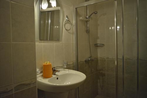 朱莉娅家庭公寓式酒店的一间浴室