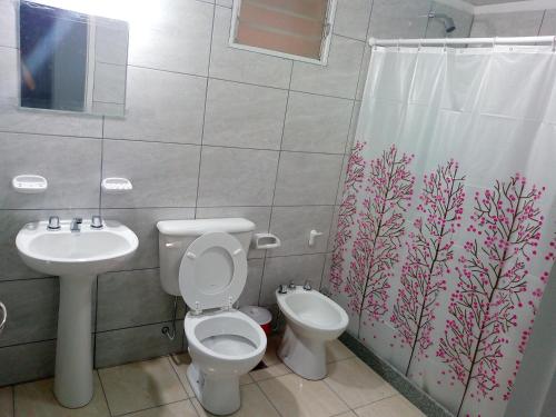 圣拉斐尔Departamento Colón 1的浴室设有卫生间、水槽和淋浴帘