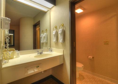 切罗基大烟山旅馆&套房汽车旅馆的一间带水槽、卫生间和镜子的浴室