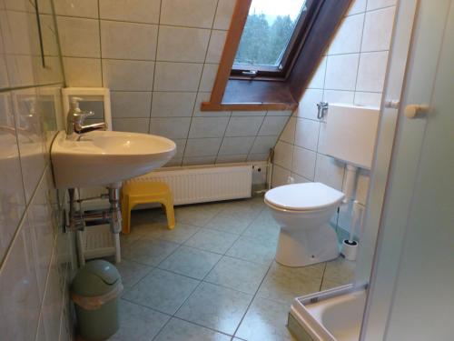 科尼基Noclegi pod Jaworzyną II的一间带水槽和卫生间的小浴室
