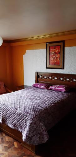 拉巴斯Hostal Río ibare的一间卧室配有一张带紫色枕头的大床