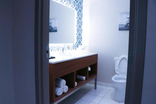 迈尔斯堡戴斯酒店及套房- 靠近捷蓝公园的一间带水槽和卫生间的浴室