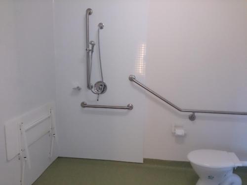 丹德农丹德农宜必思经济旅馆的设有带白色卫生间和残疾人士的浴室。