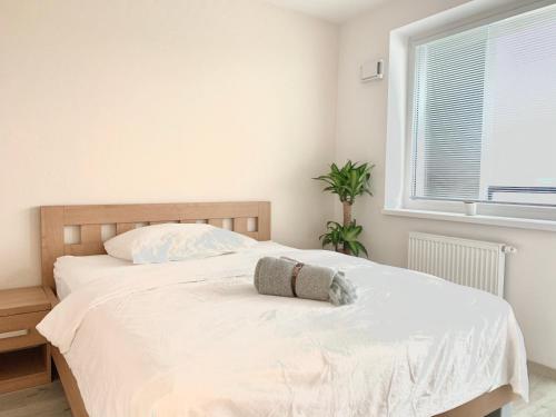 布拉迪斯拉发Elegant, bright spacious apartment in Bratislava center的卧室配有一张大白色床和窗户