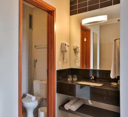 圣卡洛斯Transamerica Fit São Carlos的一间带水槽、卫生间和镜子的浴室