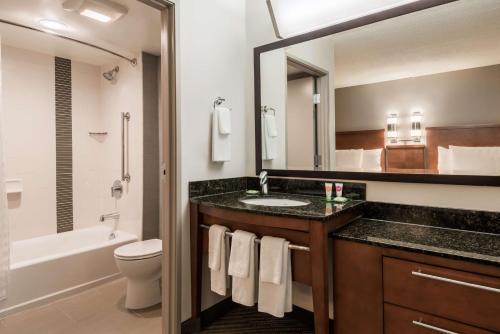 罗杰斯罗杰斯/本通维尔凯悦普雷斯酒店的一间带水槽、卫生间和镜子的浴室