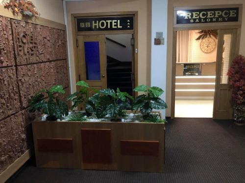 捷克捷欣Hotel Piast的酒店大堂入口处种植了盆栽植物