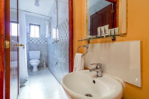 内罗毕贾维拉雄鹰观兽住宿加早餐旅馆的一间带水槽、卫生间和镜子的浴室