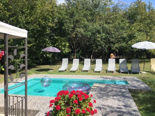 帕利克Casa Bella & Nova的游泳池配有椅子、遮阳伞和鲜花