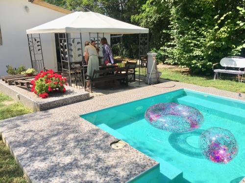 帕利克Casa Bella & Nova的庭院内一个带两个玻璃球的游泳池