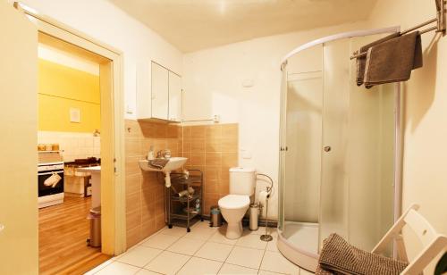 拉贝河畔罗乌德尼采Apartmán pod rozhlednou的带淋浴、卫生间和盥洗盆的浴室