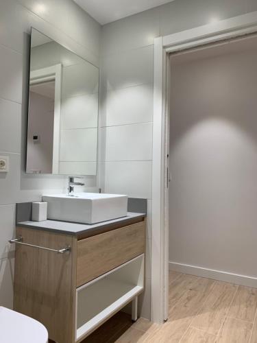 吉塔里亚Aldamar apartamentua PARKING INCLUIDO的一间带水槽和镜子的浴室