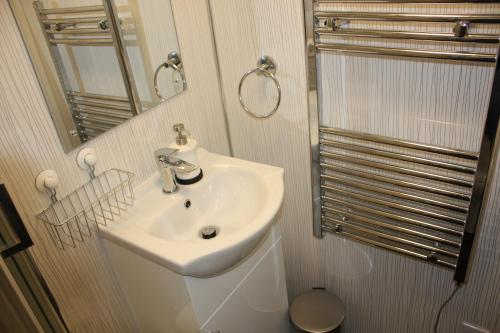 德拉姆纳德罗希特Loch Ness Balcony Apartment的浴室设有白色水槽和镜子