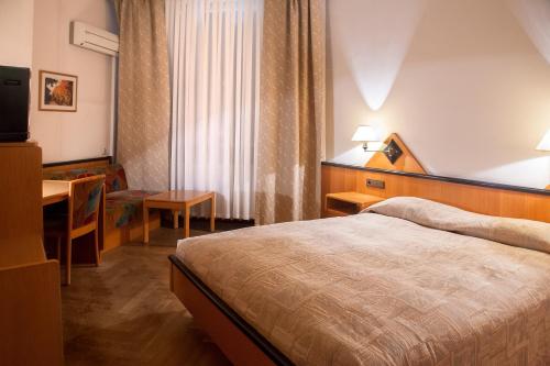 阿拉木图Kazakhstan Express的配有一张床和一张书桌的酒店客房