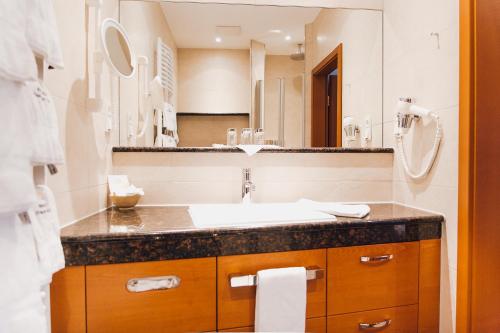 泰克伦堡图托贝格沃尔德环形酒店的一间带水槽和大镜子的浴室