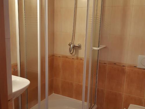扎科帕内威拉维森卡旅馆的浴室里设有玻璃门淋浴