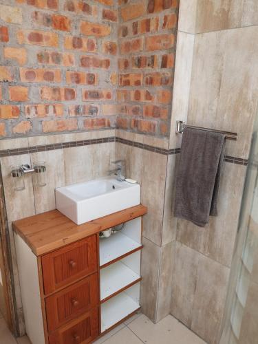 开普敦Bona Lodge的一间带水槽和砖墙的浴室