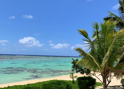 拉罗汤加Panama Beachfront Apartments, Rarotonga的棕榈树和海洋的海滩