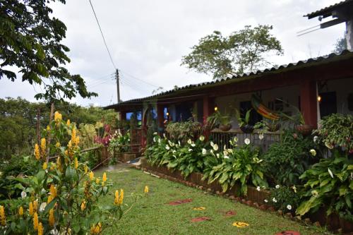 Green Hostal Popayan外面的花园