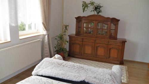 Dolní ZálezlyVilla Federer的客厅配有木制橱柜和地毯。