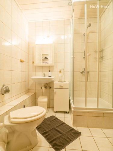 韦尼格罗德Ruhiges Apartment am Waldrand mit Schlossblick的浴室配有卫生间、淋浴和盥洗盆。