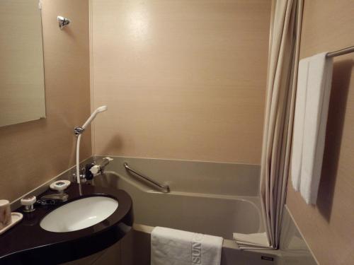 饭山市斑尾巴赫高山酒店的浴室配有盥洗盆和浴缸。