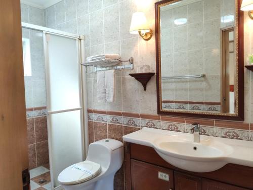 关山镇山水轩渡假村饭店的一间带水槽、卫生间和镜子的浴室