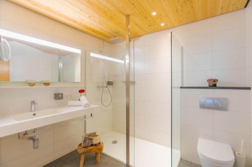 伊施格尔格拉迪瓦公寓的带淋浴、卫生间和盥洗盆的浴室