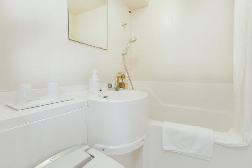 大阪MYSTAYS 大手前酒店的白色的浴室设有水槽和镜子