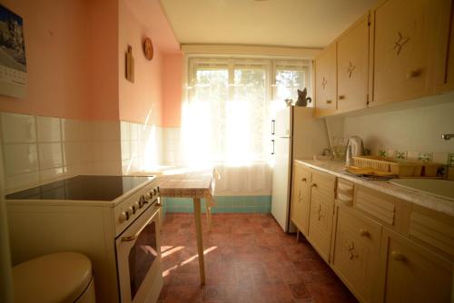 Domček 555的厨房或小厨房