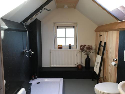奈弗达尔Carpe Diem Nijverdal的一间带水槽和卫生间的浴室以及窗户。